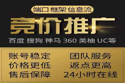 案例分析：竞价推广实战中的困境与突破